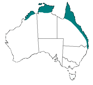 Coastal taipan range.gif