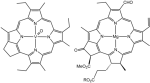 Treibs&Chlorophyll.png