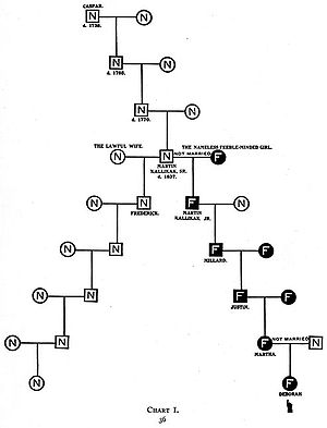 Kallikaks chart1.jpg