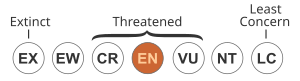 Status iucn3.1 EN.svg