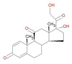 Prednisone structure.jpg