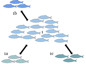 Metapopulation (1).svg