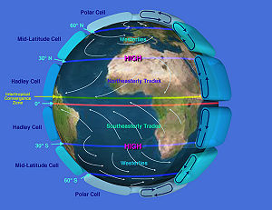 Global circulations cells.jpg