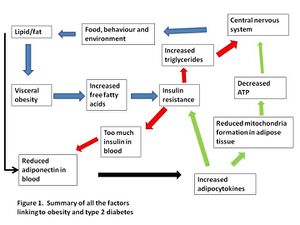 Diabesity.jpg