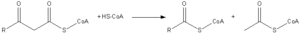 FattyAcid-MB-Thiolysis.png