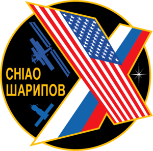 Expedition 10 insignia.png