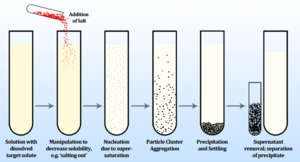 Precipitation outline.png