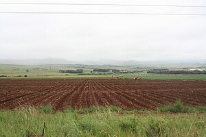 Farm in Mpumalanga.jpg