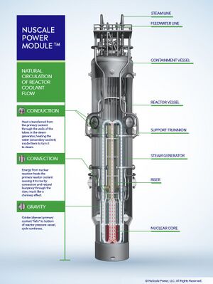 NuScale Power Module Cross-sectional View.jpg